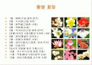 꽃의 전설과 꽃말 4페이지