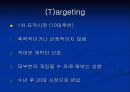 STP전략에 따른 카트라이더의 일본시장 진출 11페이지