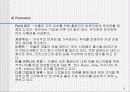 빈폴 마케팅사례분석 (A+레포트) 11페이지