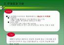 오늘의차(혼합차,녹차) 마케팅분석 및 광고계획서작성 43페이지