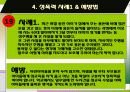 성폭력 사례 및 예방법 6페이지