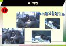 성폭력 사례 및 예방법 8페이지
