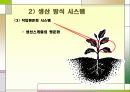 도요타의 경영시스템 14페이지