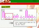 크리스피크림도넛의 시장점유율 확대 마케팅전략제시(A+레포트) 17페이지