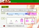 크리스피크림도넛의 시장점유율 확대 마케팅전략제시(A+레포트) 22페이지