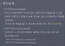 칼 구스타프 융 파워포인트 2페이지
