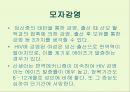 후천성 면역결핍증(AIDS) 24페이지