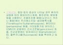 후천성 면역결핍증(AIDS) 40페이지