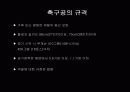 월드컵과 축구공의 발전 3페이지