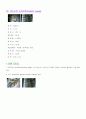 108보석 감별tip 21페이지