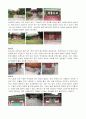 고전 건축답사 (심곡서원을 다녀와서) 1페이지