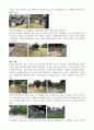 고전 건축답사 (심곡서원을 다녀와서) 3페이지