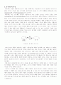 Piaget 의 인지발달 이론 2페이지