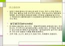 [식품영양학] 음식과 건강 - 화학적식기와 조리법,식품(육식)과 건강 20페이지