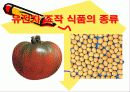 유전자 조작식품 8페이지