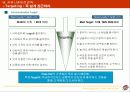 [마케팅] 피자헛 브랜드 파워 상승 전략 34페이지