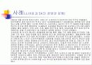 [경제] 출자총액제한제도 - 역사/사례, 평가, 정의 ,목적 9페이지