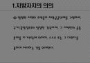 지방자치의 개요 및 지방행정 4페이지