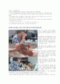 노인가족에 대해서 41페이지