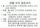일본의 음식문화 21페이지