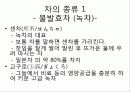 일본의 음식문화 28페이지