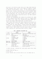 선군정치와 주체사상의 관계 13페이지
