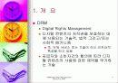DRM (Digital Rights Management) 4페이지