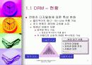 DRM (Digital Rights Management) 5페이지
