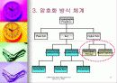 DRM (Digital Rights Management) 21페이지