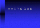 부부강간죄 입법화 1페이지