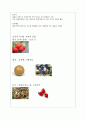 신탄진 봄축제 기획서 50페이지