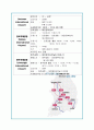 대전 컨벤션유치제안서(IISS) 30페이지