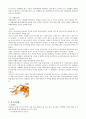 신경계 구조와 기능 [자연과학]  4페이지