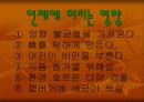 패스트 푸드의 유해성 6페이지