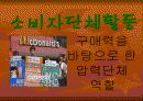 패스트 푸드의 유해성 17페이지