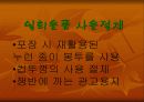 패스트 푸드의 유해성 18페이지