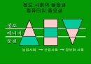 컴퓨터와 인간생활-정보화 사회,윤리 3페이지