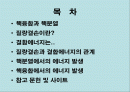 질량결손에 의한 에너지 생성 2페이지