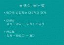 물리현상의 원리 11페이지