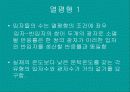 물리현상의 원리 14페이지