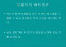 물리현상의 원리 16페이지