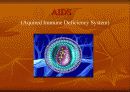 AIDS(후천성 면역결핍)에이즈 3페이지