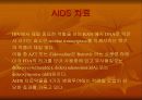 AIDS(후천성 면역결핍)에이즈 12페이지