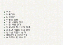 청소년 약물남용문제 2페이지