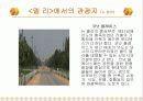 인도여행기-인도로 가기로 한 이유와 목적,경비 14페이지