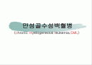 만성골수 백혈병 1페이지