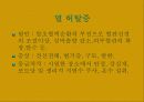 공중보건학(직업병) 11페이지