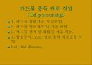 공중보건학(직업병) 40페이지