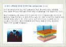 옷과 단열 21페이지