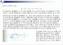 투명인간의 대한 고찰 12페이지